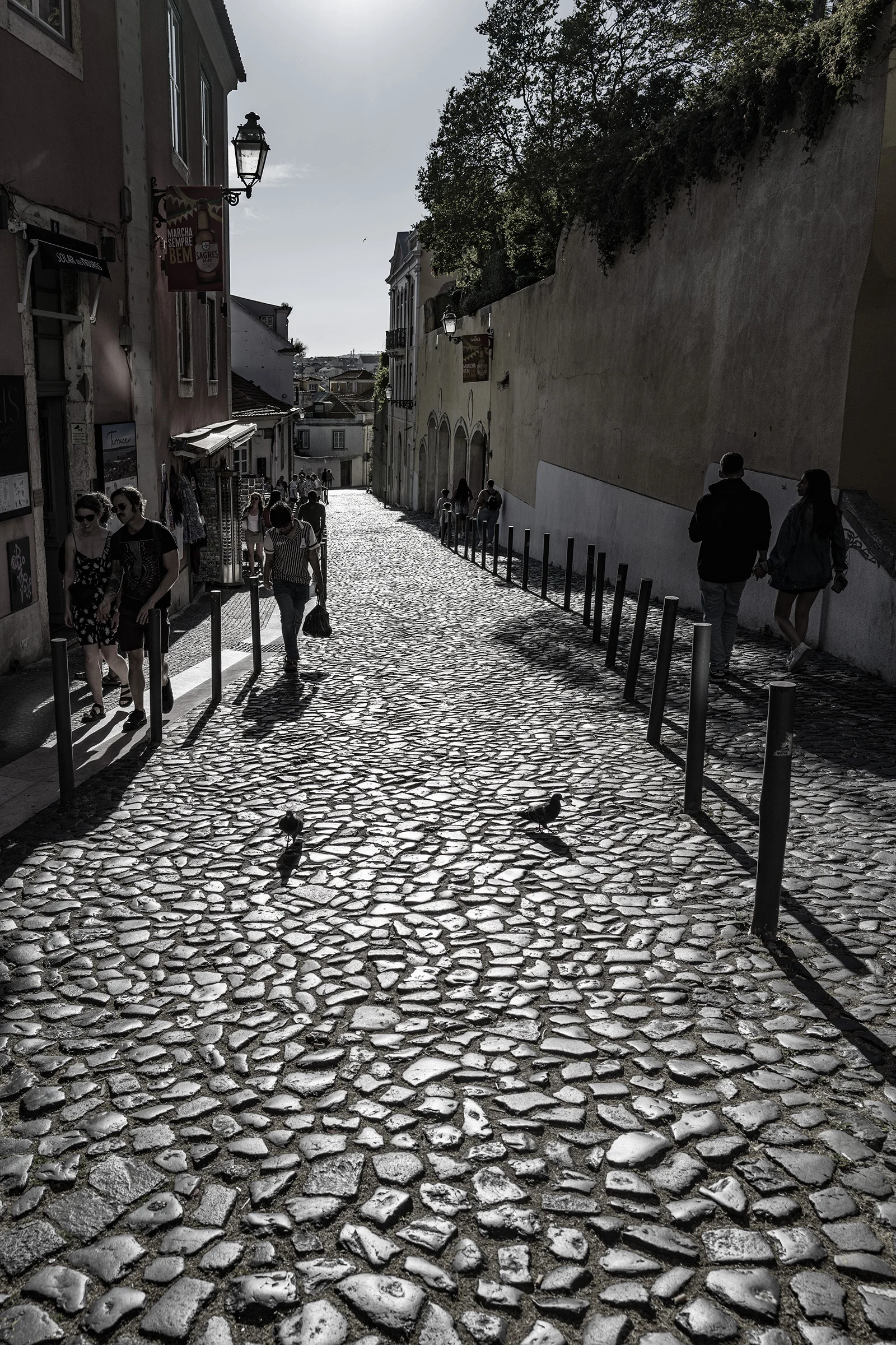 Street photography by Hoag Studio